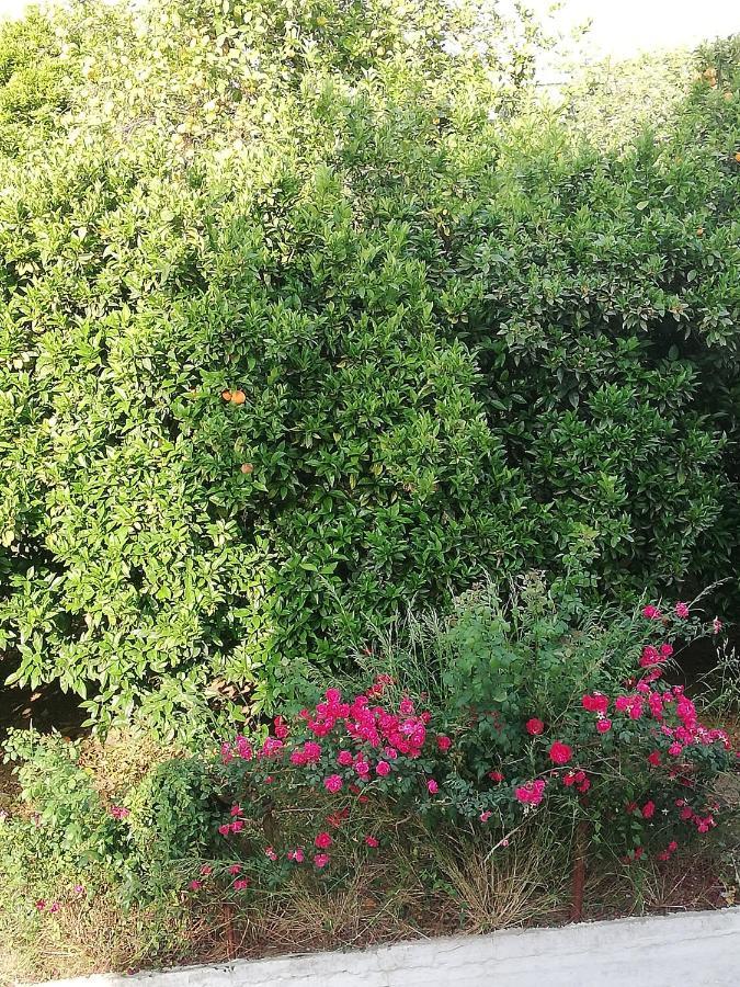 Nicol Apartmens Preveza Exteriér fotografie